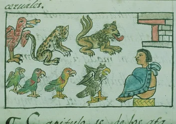 Ms Palat. 218-220 Livro IX Animais do Imperador Asteca, do &39;Códice Florentino&39; de Bernardino de Sahagun, c.1540-85
